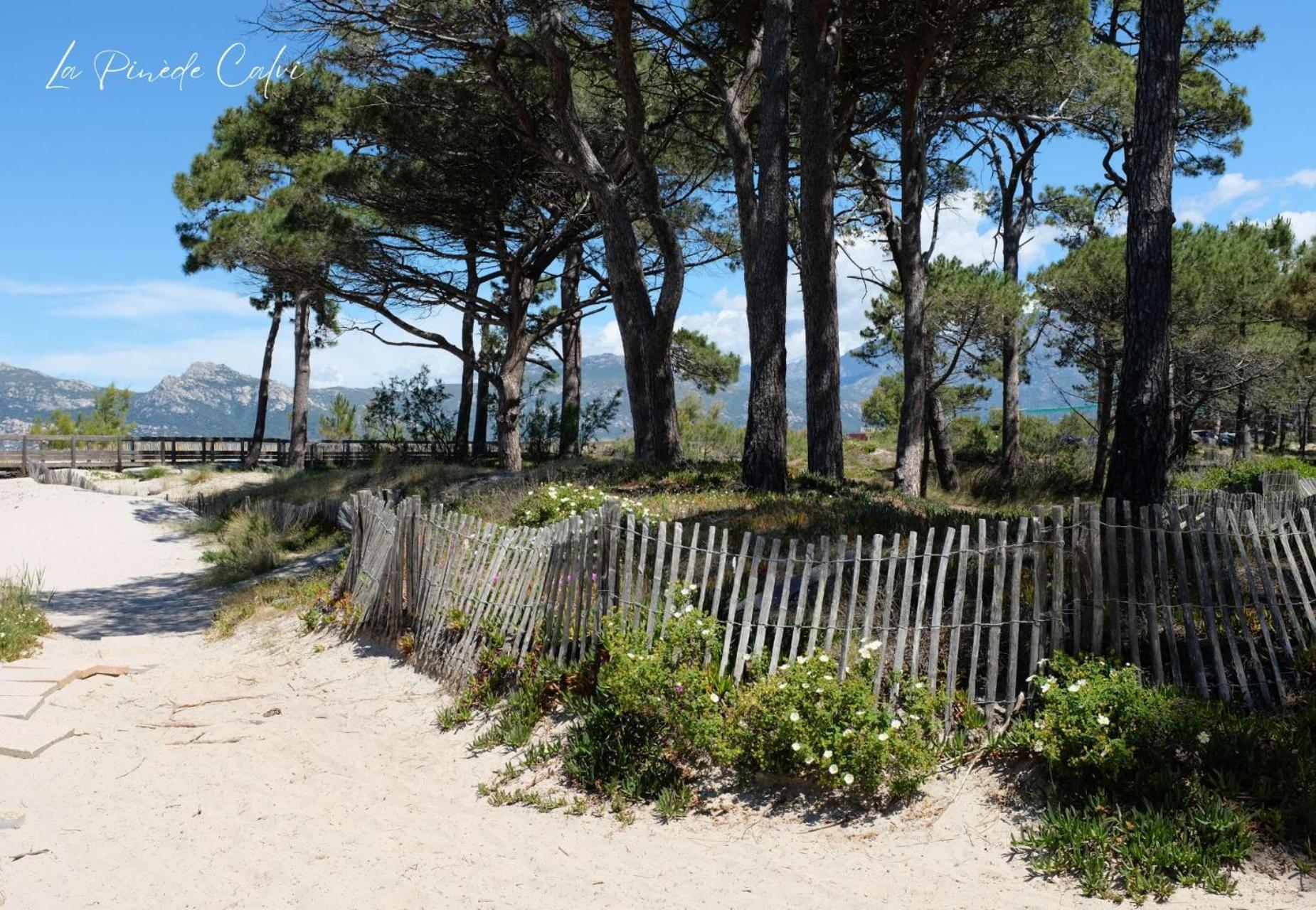 Apartamento Les Pieds Dans L'Eau T2 E Calvi  Exterior foto